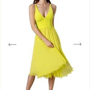 Dress the Population Alicia Dress